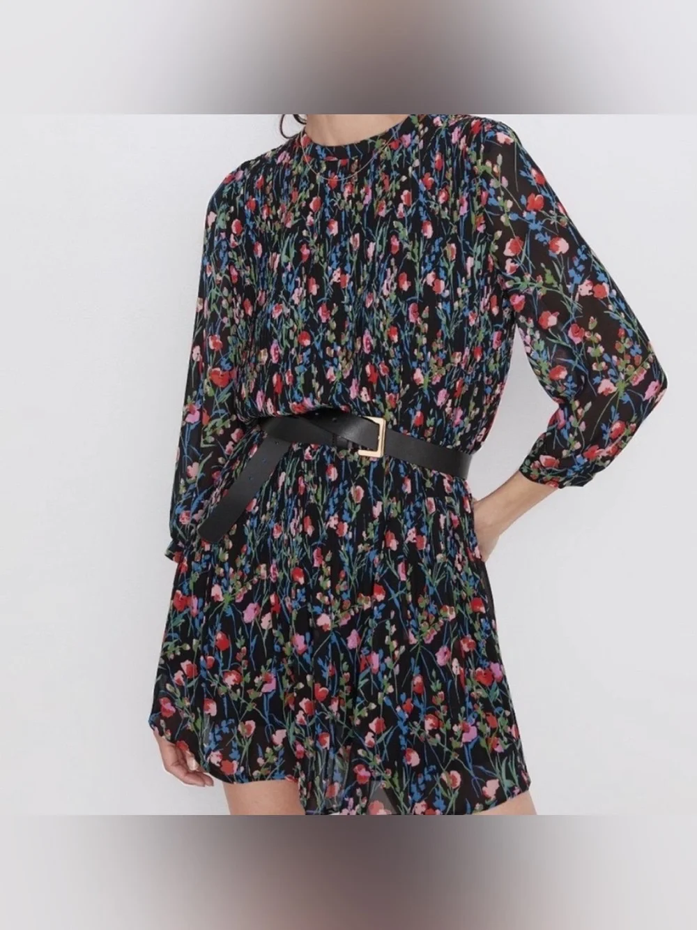 Zara Floral Long Sleeve Annie Dress Pleated Chiffon. Size XS.